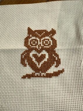 Completed Owl Cross stitch